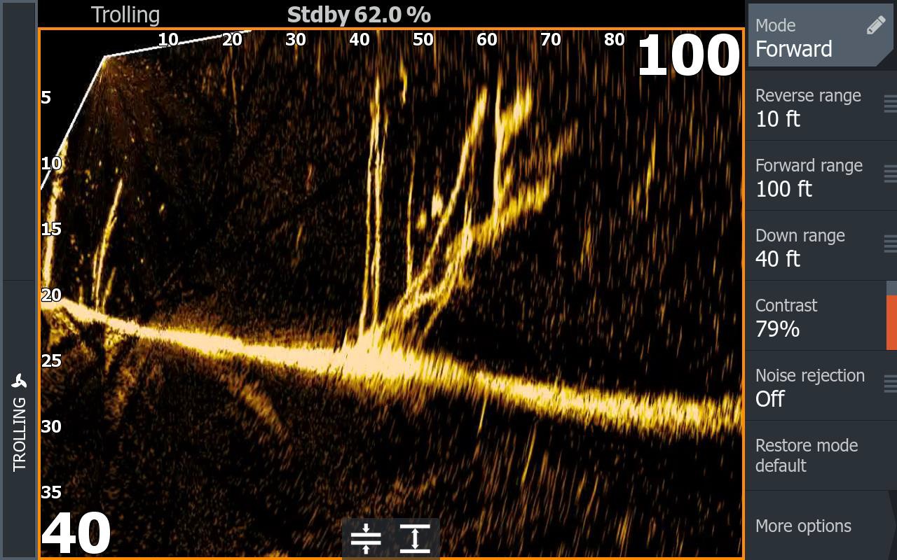 Пример изображения ActiveTarget 2XL на экране Lowrance